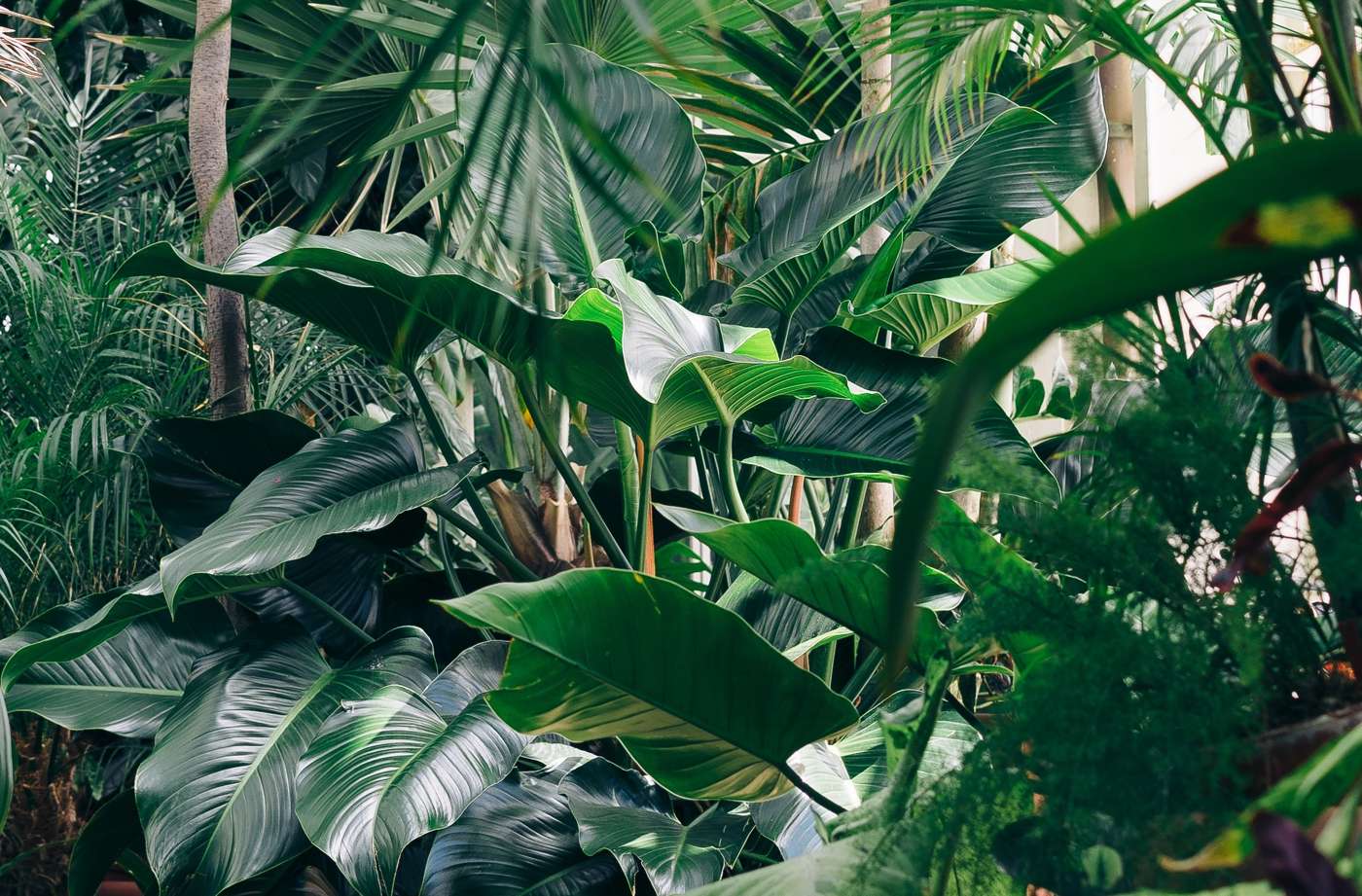 The Most Common Texas Landscaping Mistakes