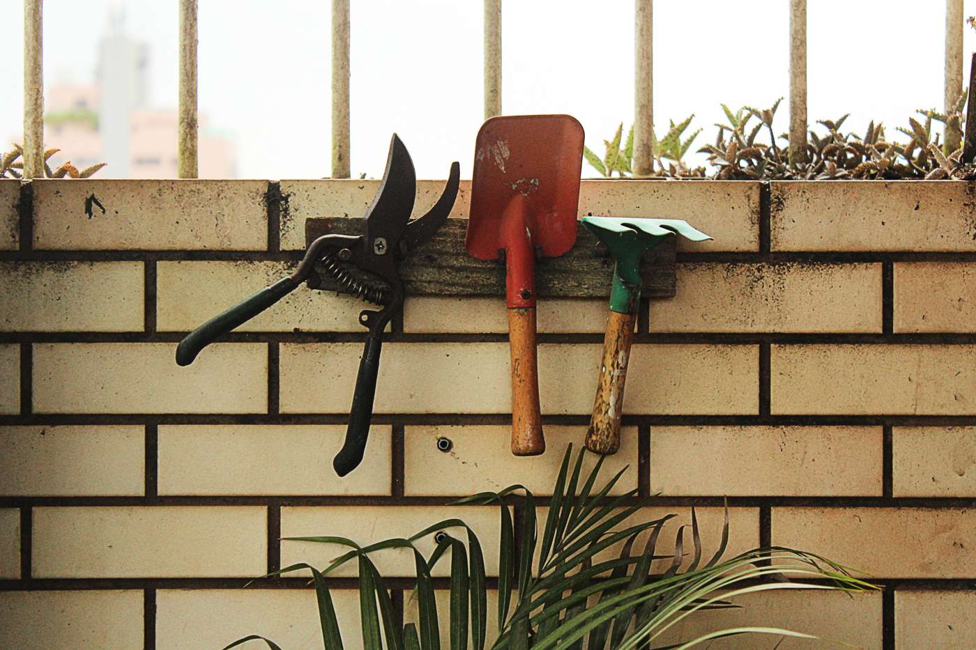Tips to Help Remove Weeds