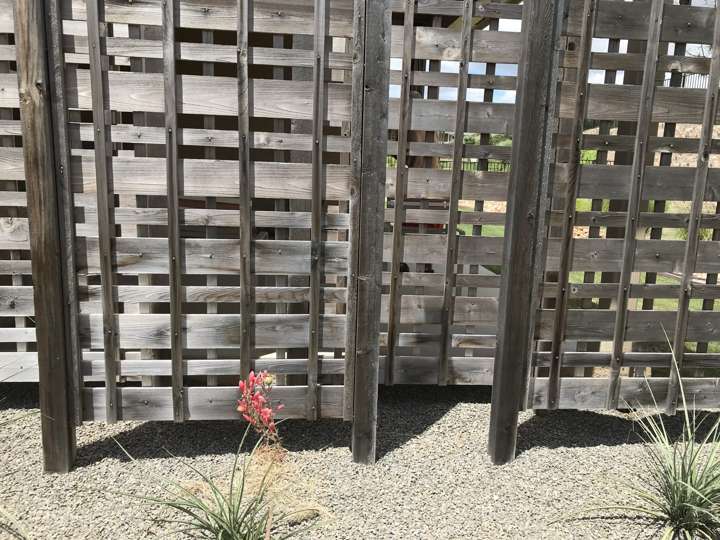 Horizontal cedar privacy screen in a gravel bed