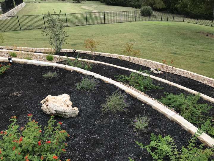 Curved limestone-edged beds with black mulch and young native plants