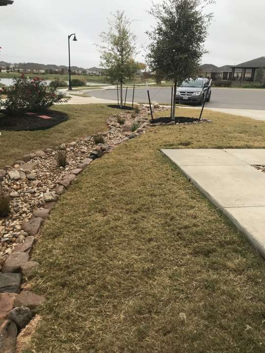 Dry creek bed of river rock beside a sidewalk with a young tree
