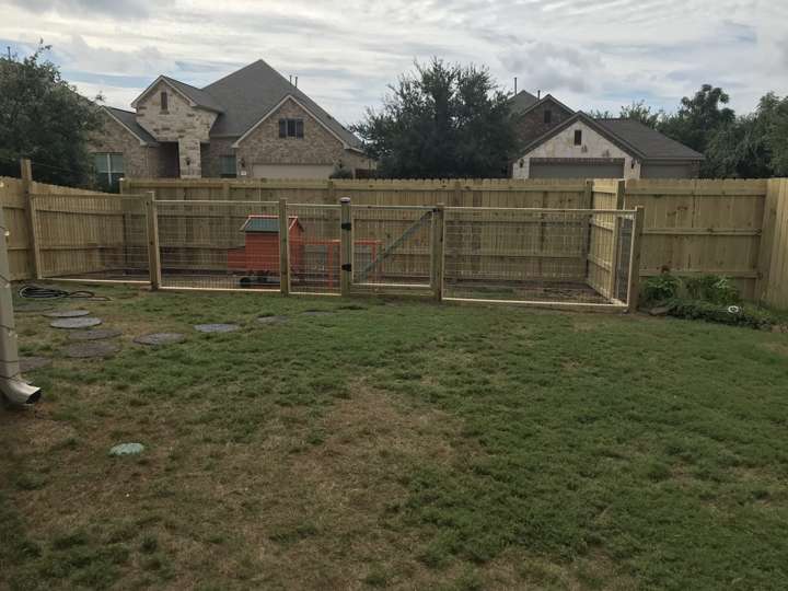 New cedar privacy fence and gate in a back yard