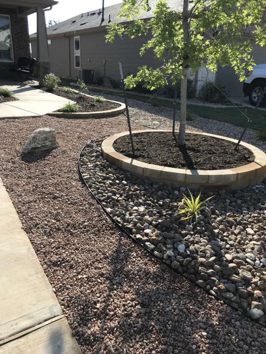 Decomposed granite bed with a limestone tree ring and a young tree