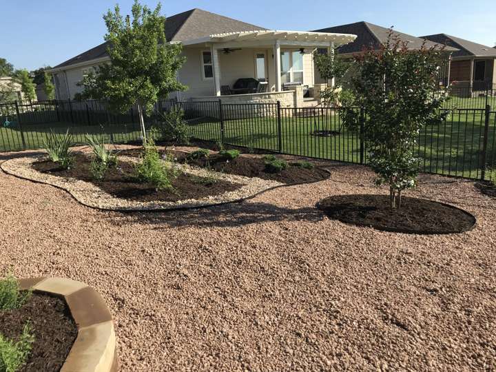 Decomposed granite front yard with mulched tree rings and a limestone-edged bed