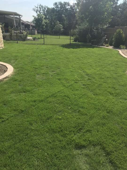 New sod lawn in a fenced back yard