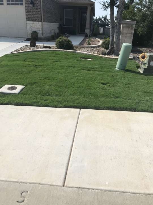 New sod along a driveway and front walk